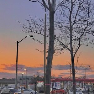 Meet your Posher, Phương